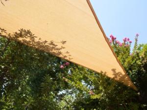 Toldo Vela Proyecto 1-6